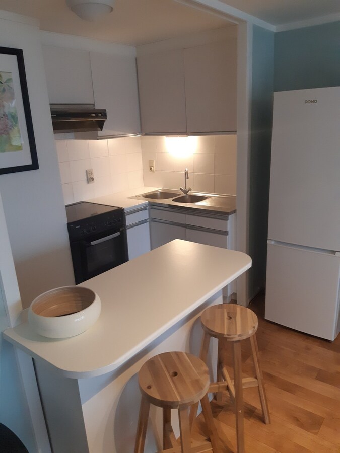 Ruim en lichtrijk appartement - centrum Gavere. 