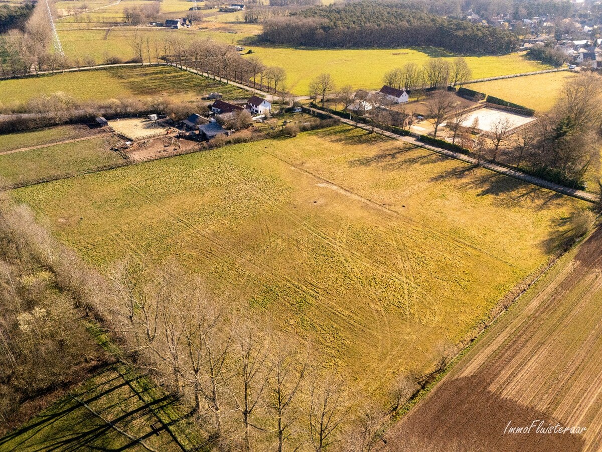 Prachtig weiland van ca. 2,5 ha te Zandhoven 