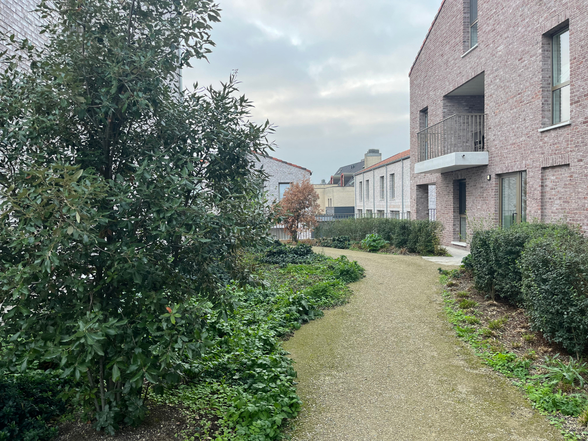 Energiezuinig en lichtrijk wonen - zuidgericht terras. 