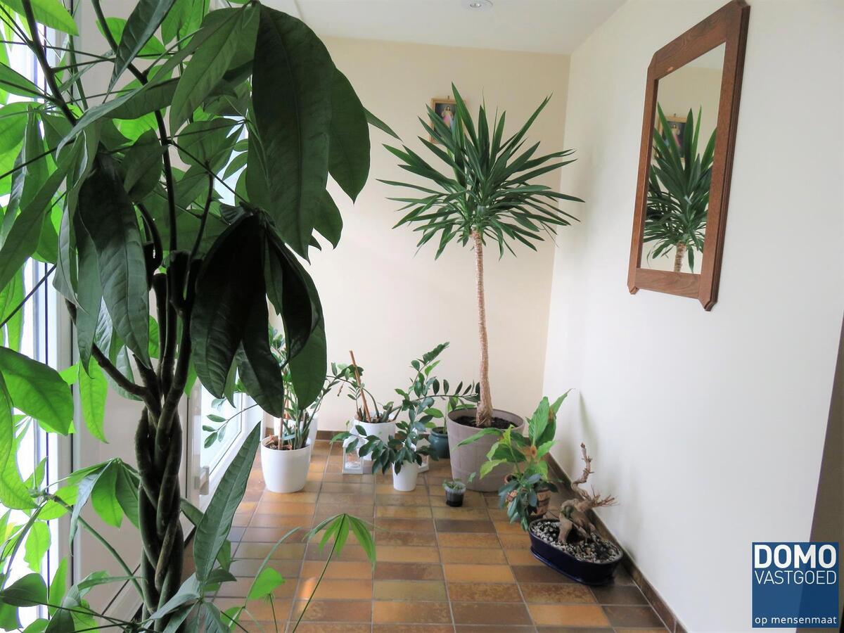 Bungalow verhuurd in Hasselt