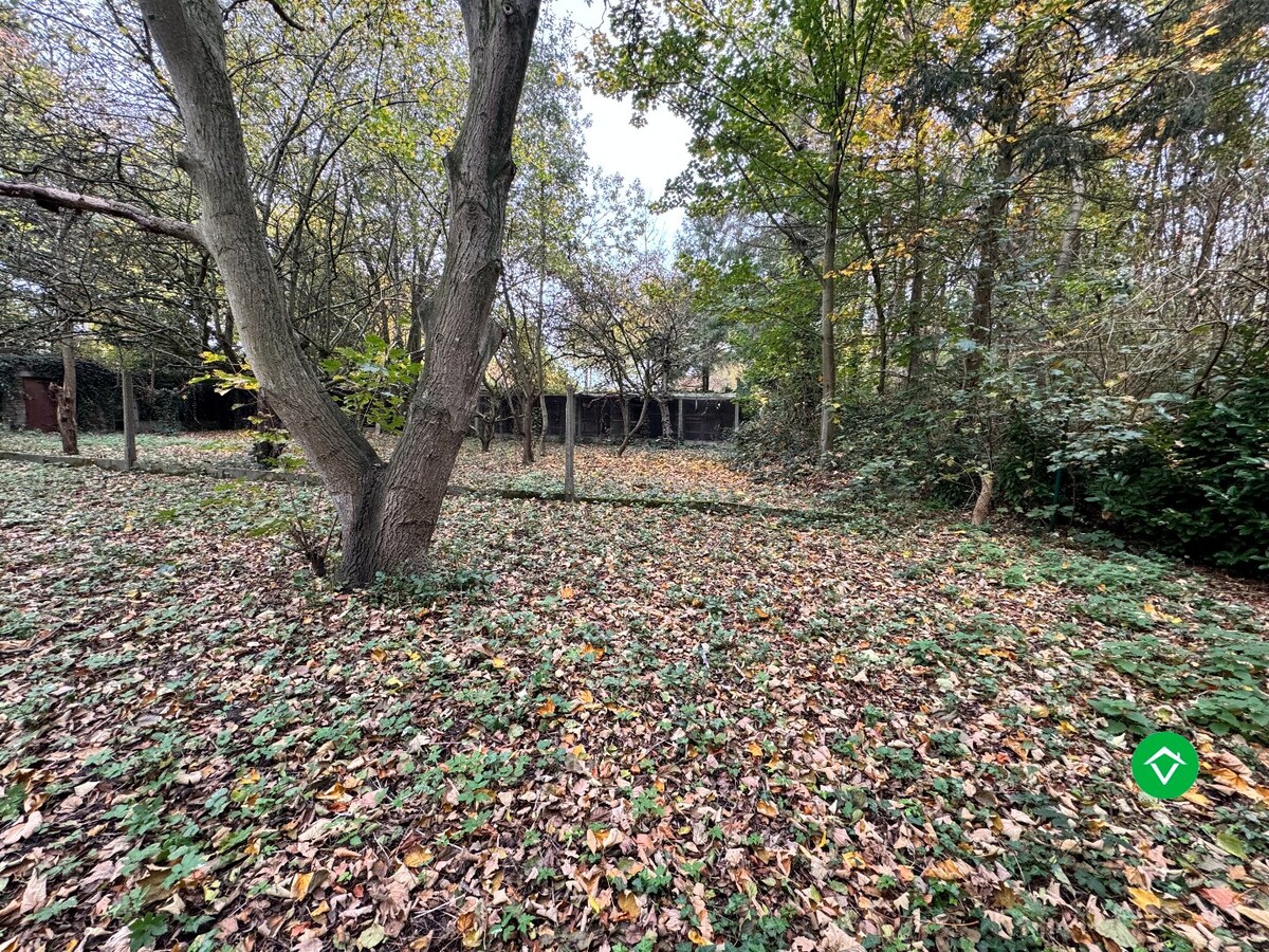 Ruime bungalow op 4140 m² met prachtige zichten en absolute rust in Torhout 