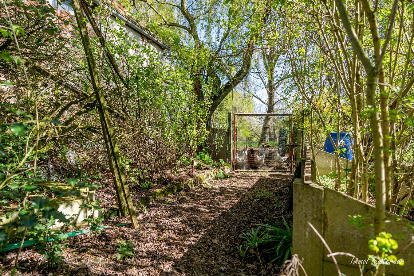 Te renoveren vierkantshoeve op een ruim perceel van ca. 2,6ha te Kortenaken 