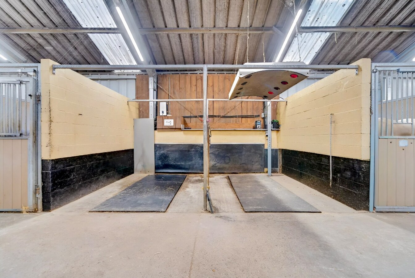 Prachtige paardenaccommodatie op ca. 3,2 ha te Wuustwezel 