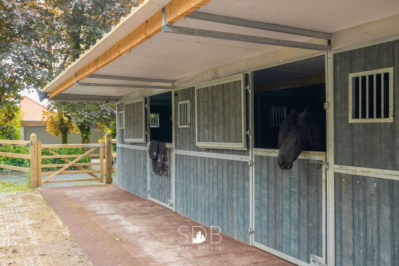 Prachtige villa met zwembad, paardenstallen, paddock en grasland op 1,3HA 