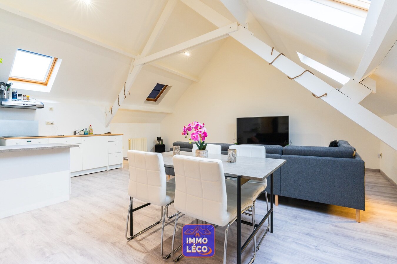 Appartement rénové, dans le centre, IDEAL investisseurs ! 