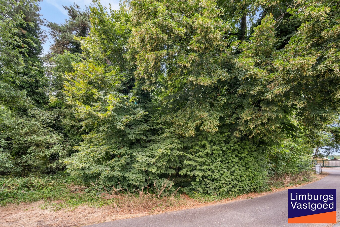 Grond voor dagrecreatie, 18a60ca 