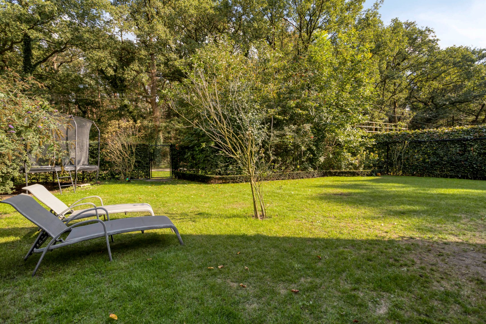 Veelzijdige recente woning aan de Brechtse Heide – ideaal voor wonen &amp; werken 