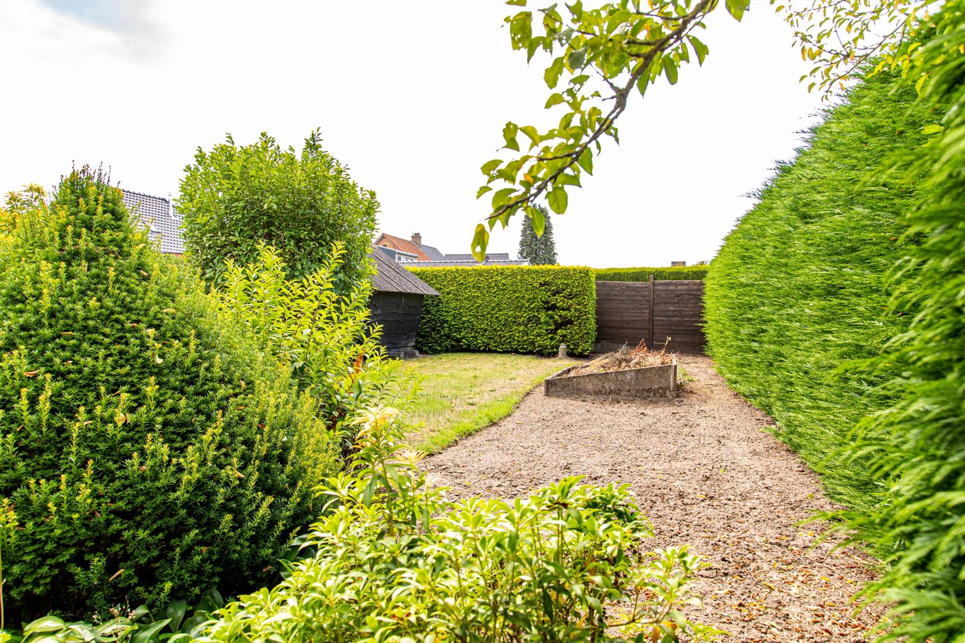 Te renoveren woning met  3 slpks  rustig gelegen te Aalter 