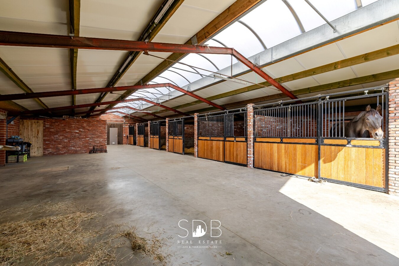 Hedendaagse woning met hippische accommodatie op 17.782m² 