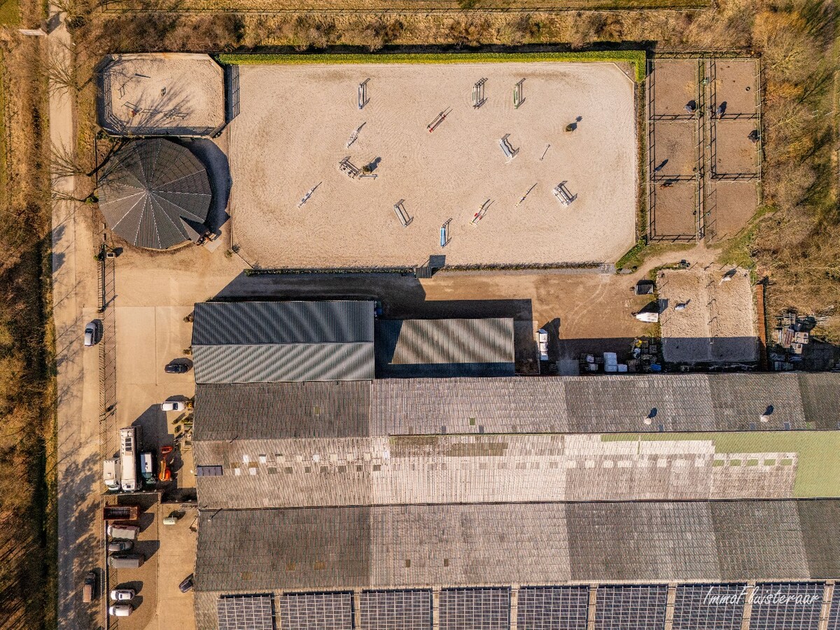 Complete paardenaccommodatie met studio op ca. 1,1ha te Bree 