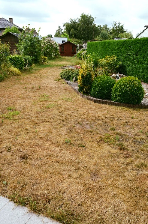 Halfopen bebouwing op 530m² met 3 slpks, garage, tuin en tuinhuis te Maldegem 