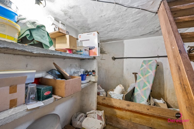 Alleenstaande woning met bijgebouwen en prachtig landelijk uitzicht 