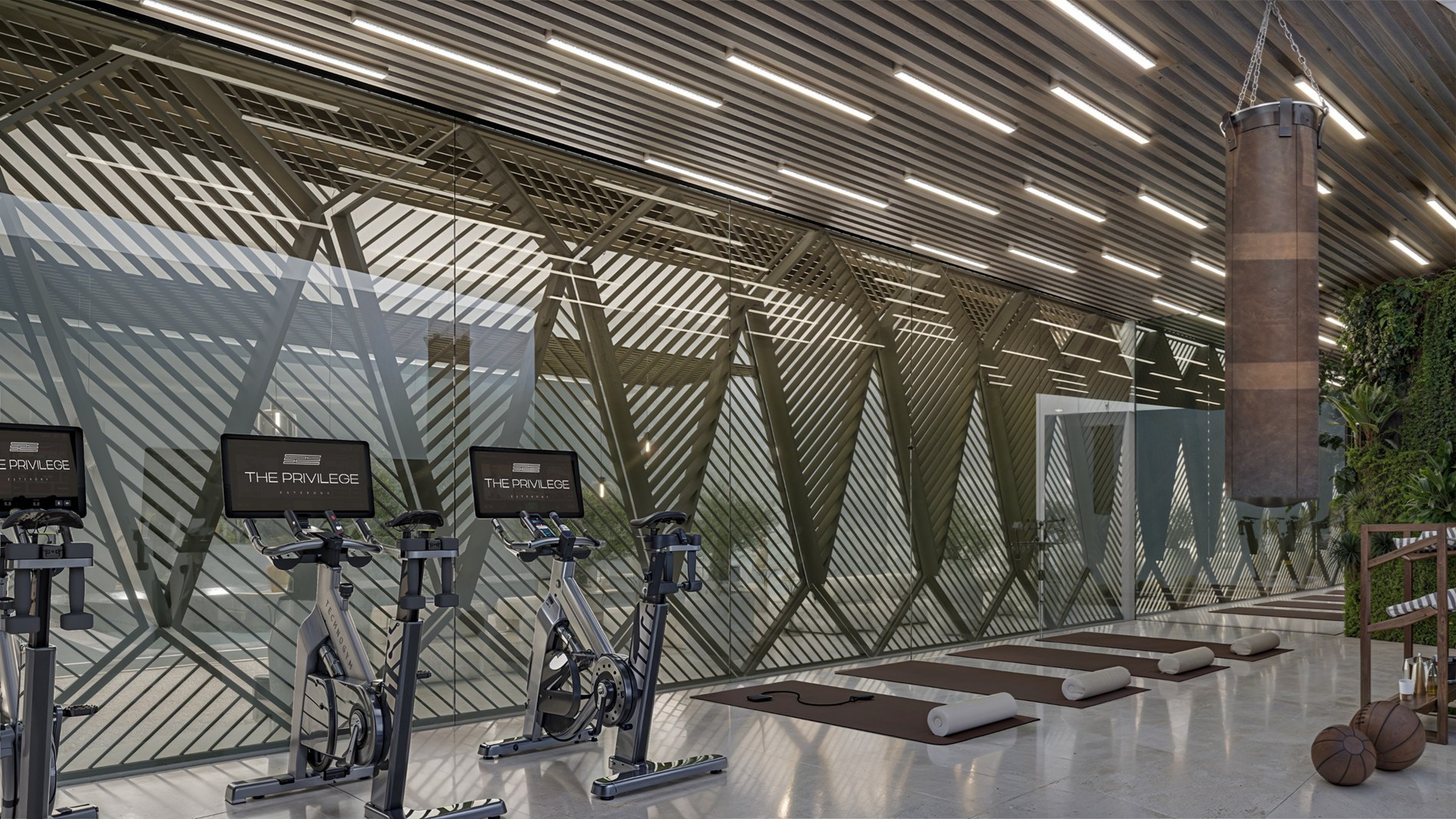 The Privilege - 2.1.D 