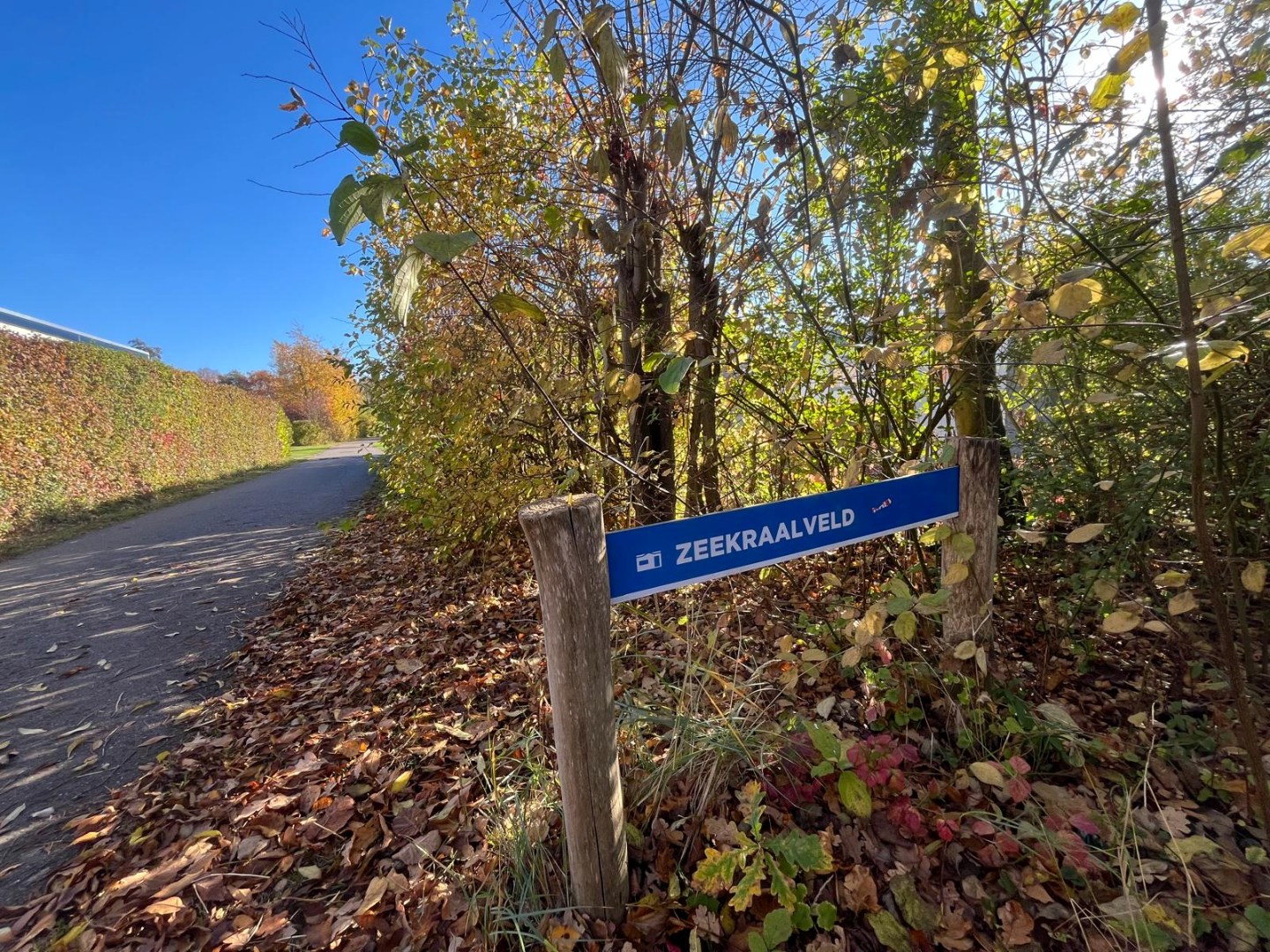 Zeekraalveld 701 RCN de Schotsman, Kamperland 