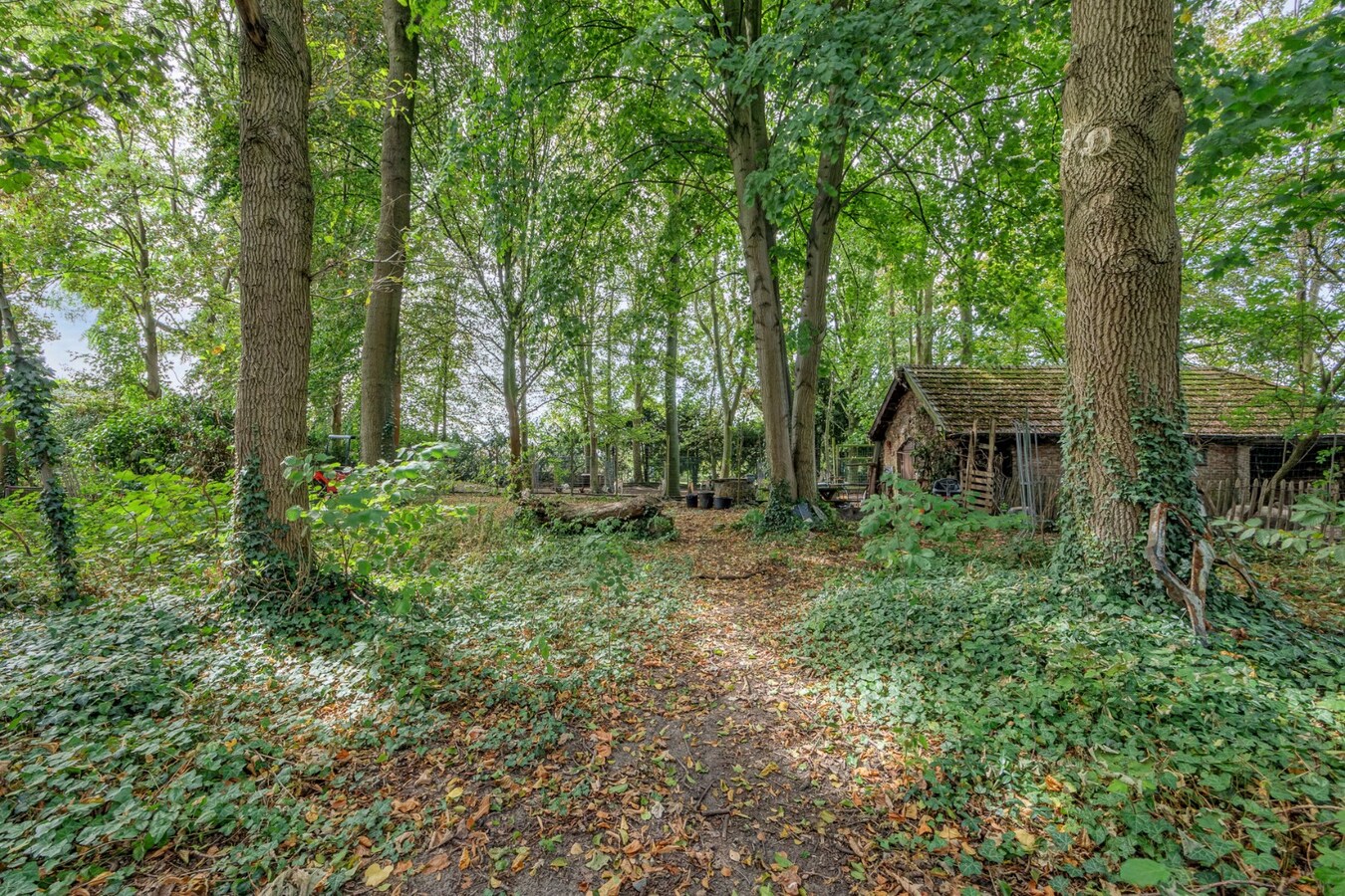 Kangoeroe/praktijk woning met 5 slaapkamers en prachtig open zicht 