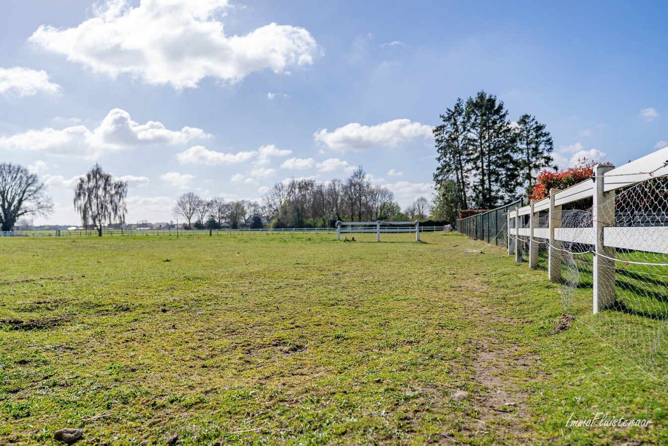 Ruime woning met paardenstallen op ca. 85 are te Kinrooi 