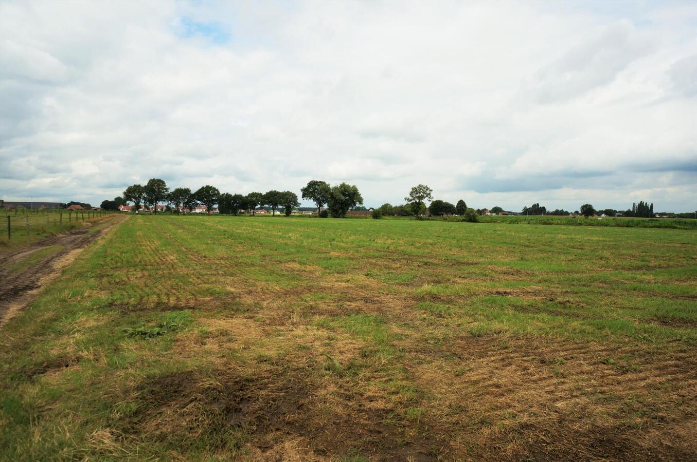Ferme vendu À Merksplas