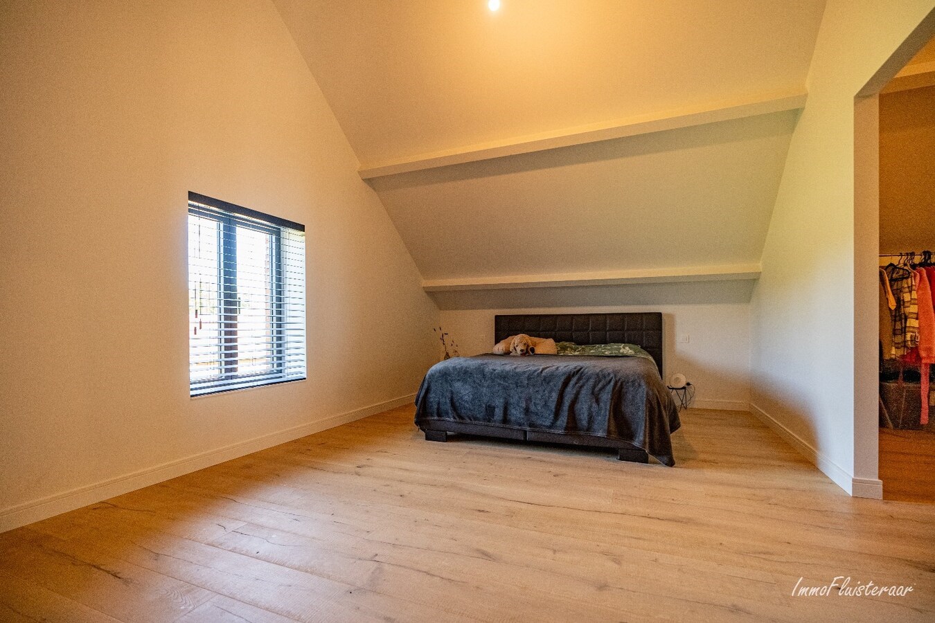 Ferme rénovée avec charme authentique sur environ 1,1 hectare à Paal (Beringen) 