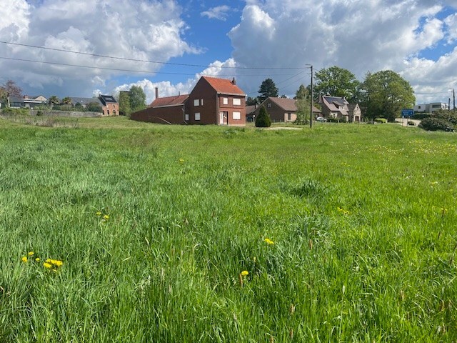 Te koop grond - Begijnendijk