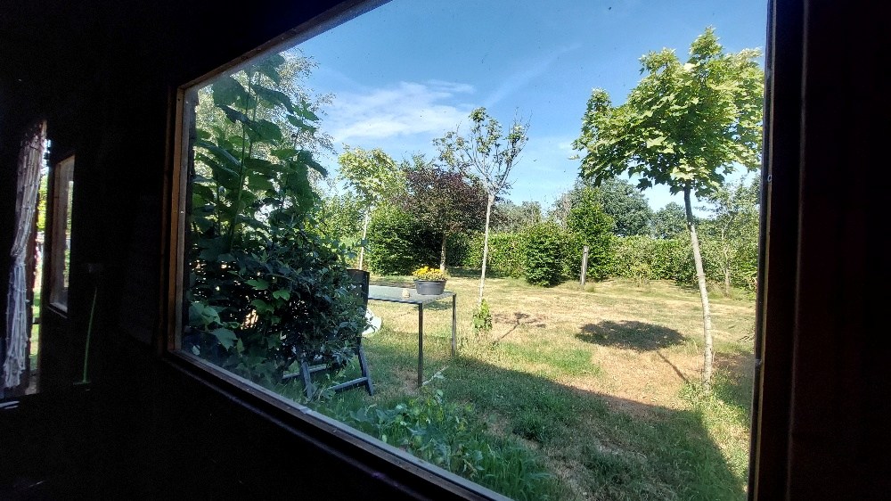 Bos te koop in Weert