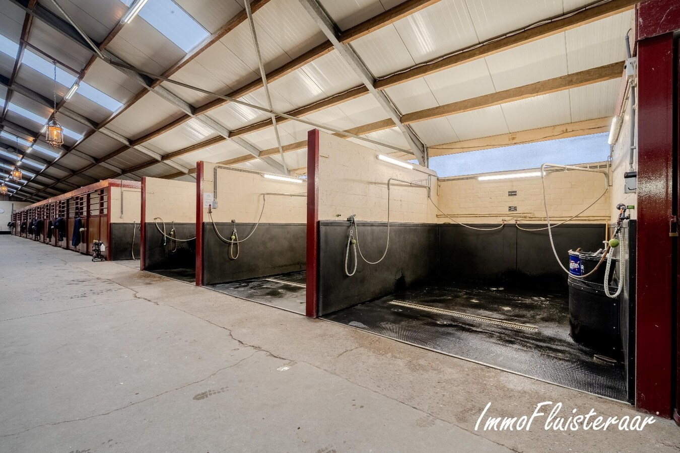 Exclusief Hippisch Complex met Uitstekende Trainingsmogelijkheden op ca 8,6 ha in Wuustwezel 