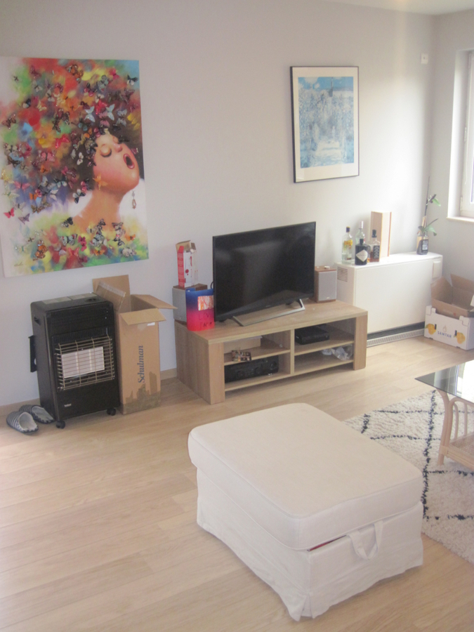 Aangenaam 1-slp-appartement nabij Station (in t groen met terras). 