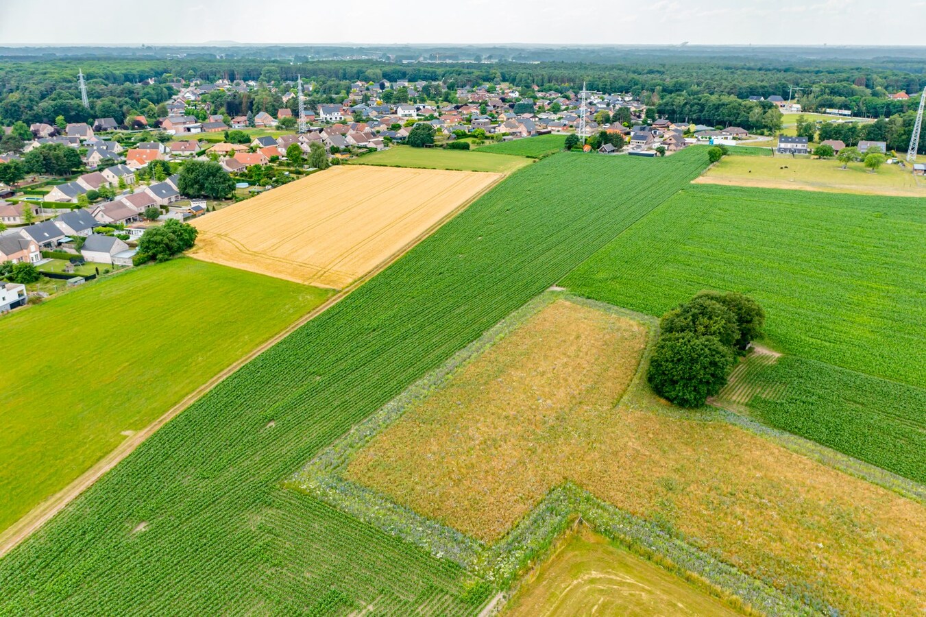 Terrain à bâtir avec des terrains adjacents d'environ 2,5 ha à Wijshagen (Oudsbergen) 