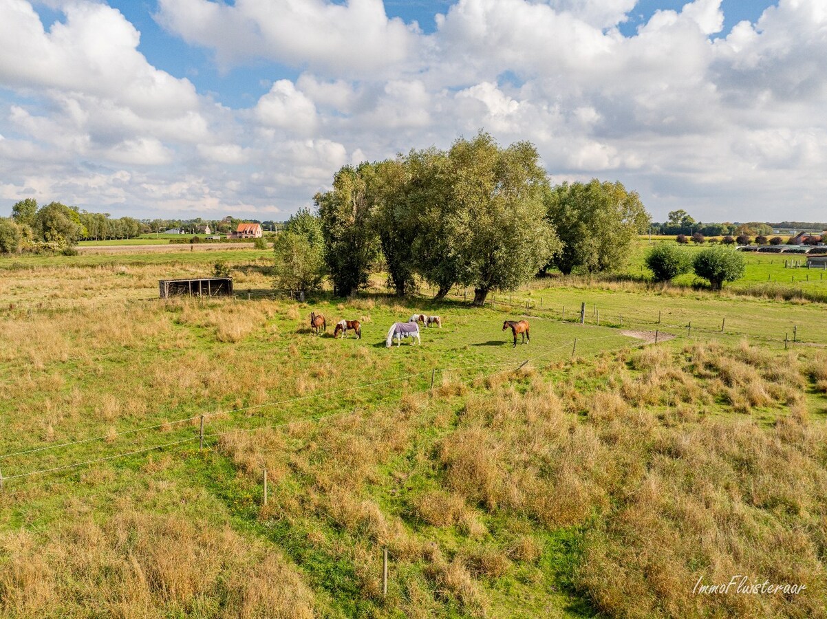 Charmante woning met stallen, buitenpiste en weide  op ca. 2 ha te OUDENBURG 