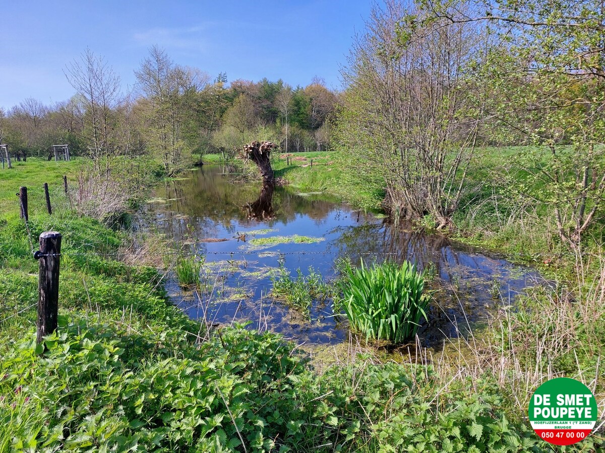 Gerestaureerde hoeve "Ter Leyden" 