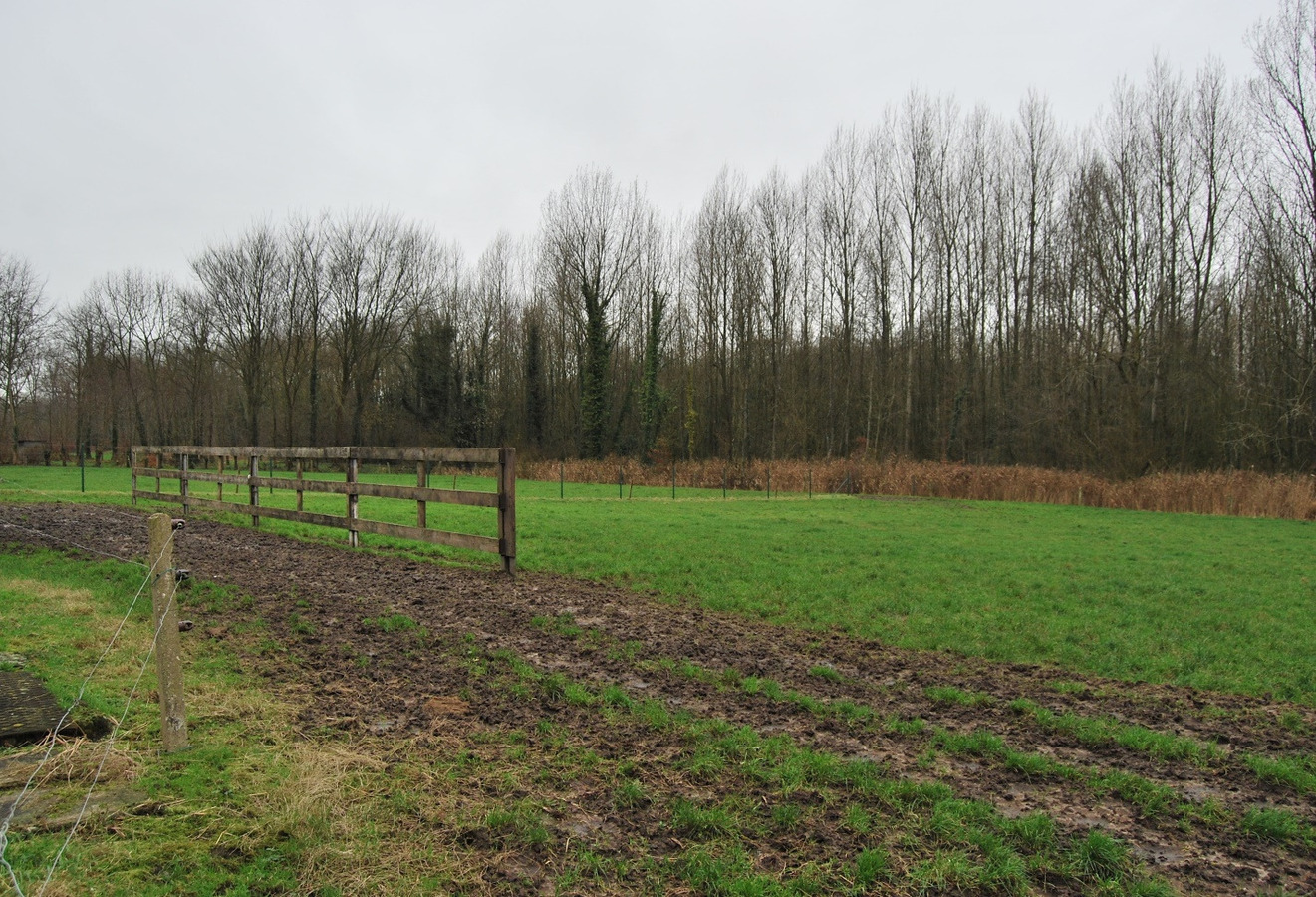 Te renoveren hoeve met loods op ca. 1,43ha te Deinze 