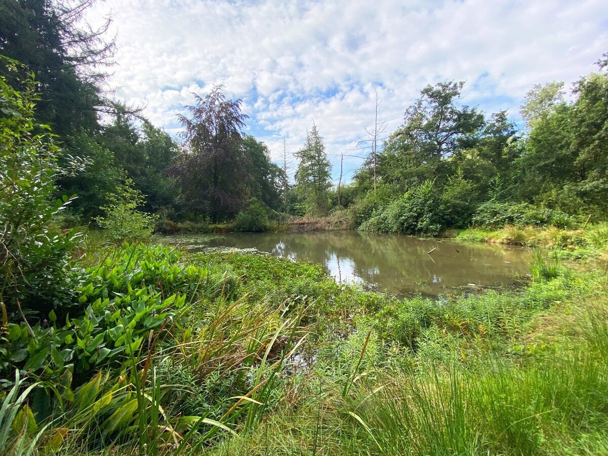 Verkocht recreatie - Balen