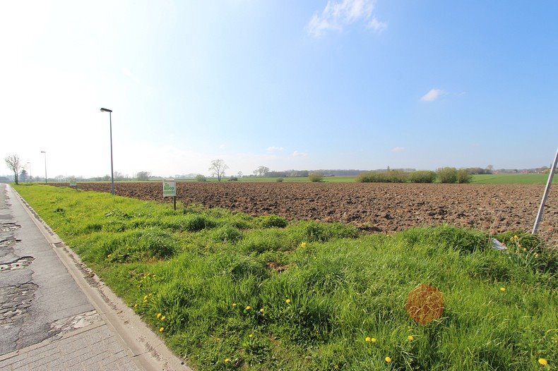 Perceel bouwgrond voor open bebouwing te Koekelare 