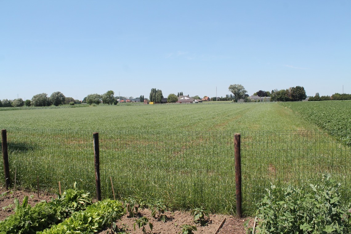 Charmante halfopen woning met garage, 2 slaapkamers en grote tuin 