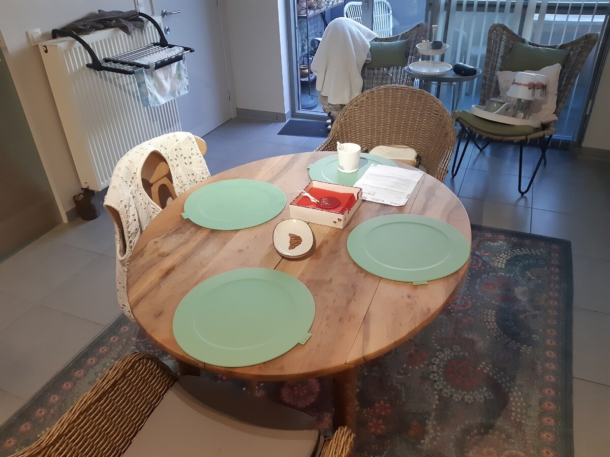 Ruim, eigentijds duplex-appartement 