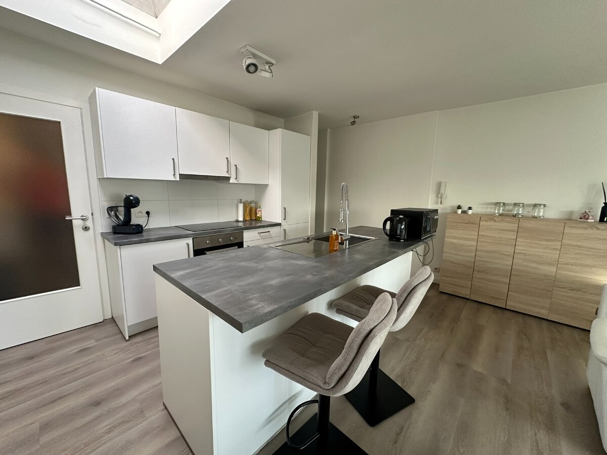 Volledig gerenoveerd appartement met ruim terras in centrum Sint-Antonius 