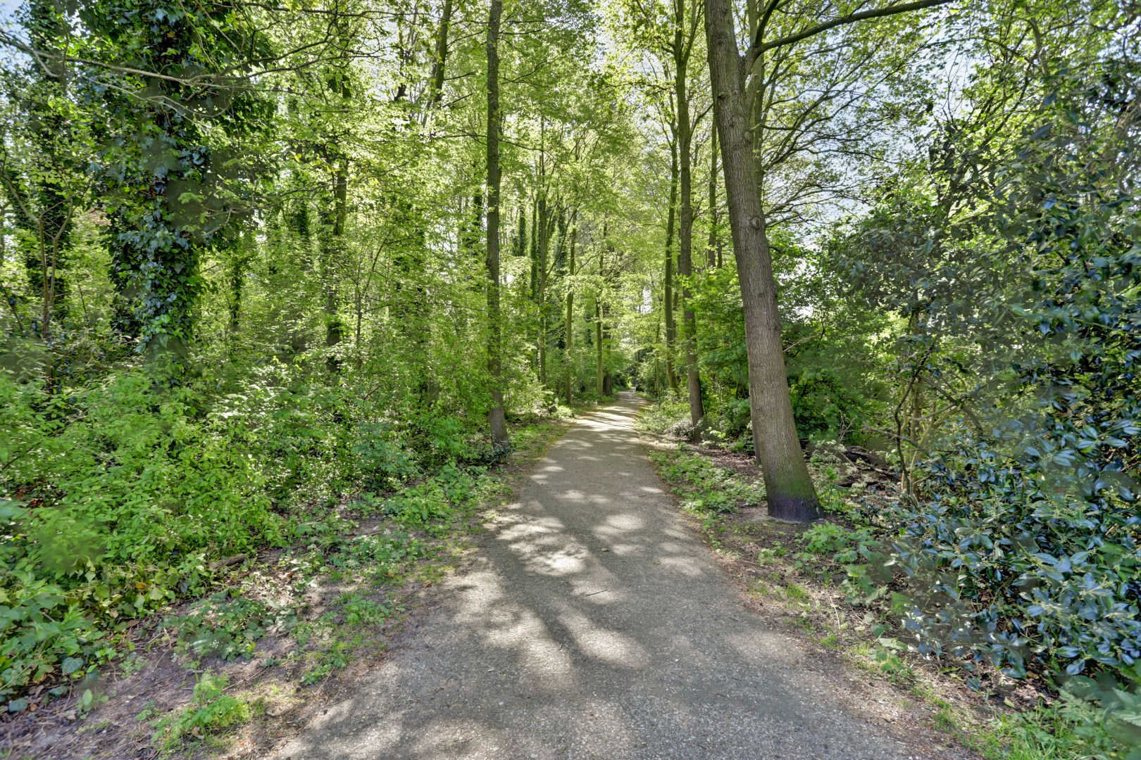 Bijna 100 m² gelijkvloers woonplezier op de begane grond met terras van ca. 36 m².  Deze 3- (voorheen 5) kamerwoning is gelegen op eigen grond! 