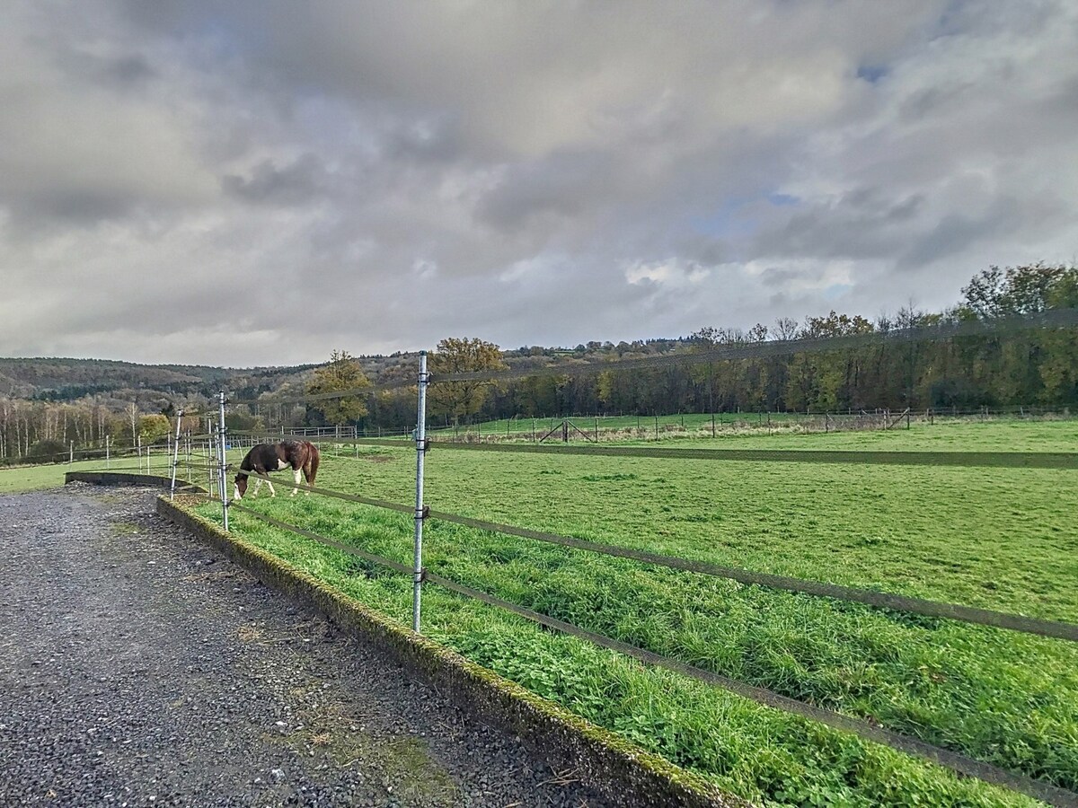 Paardeneigendom met villa, luxe en comfort in Harzé/Aywaille op ca.8,5ha 