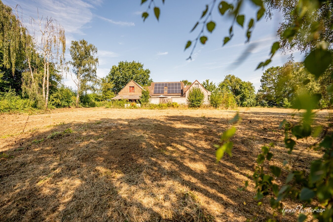 Maison soignée avec 4 écuries sur environ 75 ares à Tielt-Winge (Brabant flamand) 