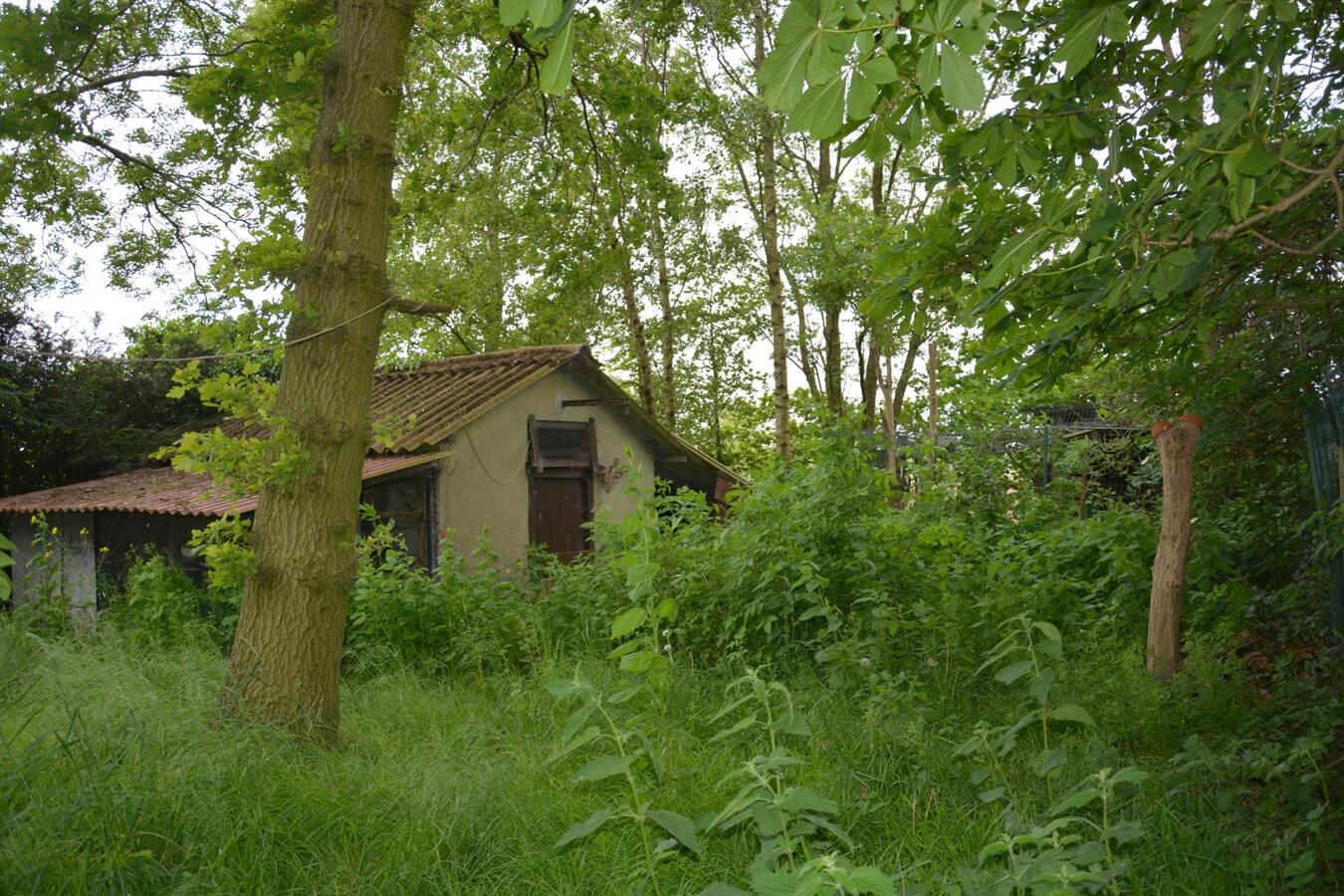Te renoveren woning op prachtig groene ligging 