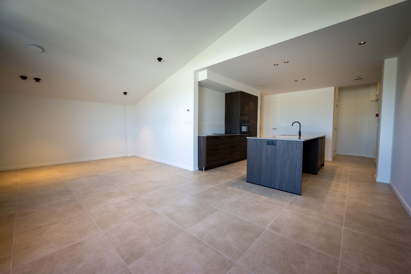 Exclusive professional equestrian accommodation (new construction) with villa on approximately 9 hectares in Neerpelt. 