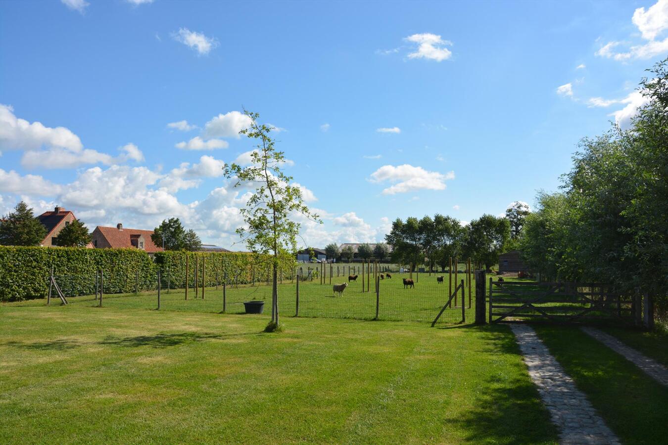 Prachtige recente villa met bijgebouw 