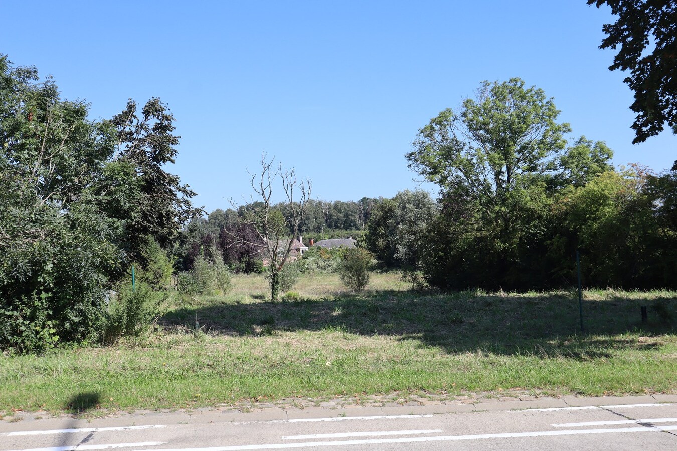 Bouwgrond Handelspand + Eengezinswoning 23 are 49 ca 