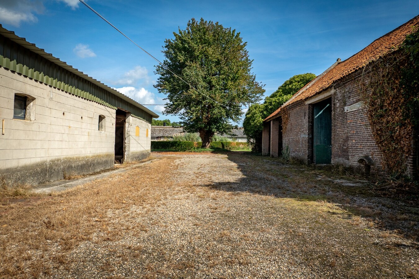 Hoeve met stalgebouwen op ca. 1ha te Bree 