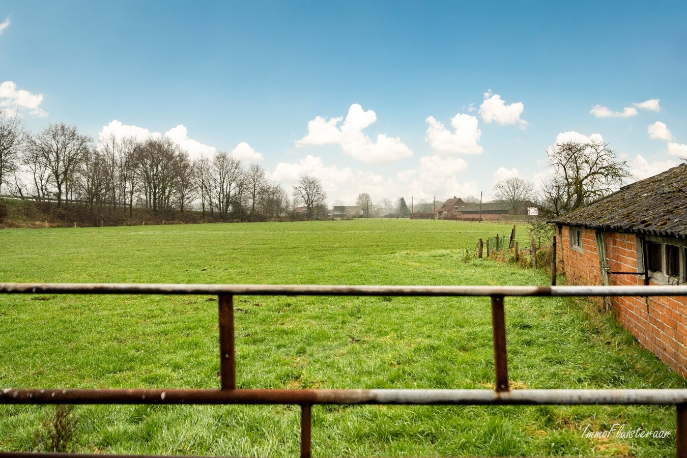 Ferme caractéristique avec une grande grange sur environ 2 hectares à Hoogstraten (achat de terrain supplémentaire d'environ 4 hectares possible). 