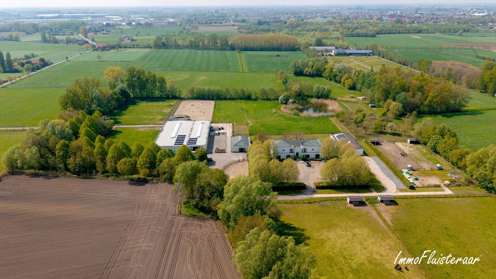Exclusieve villa met professionele hippische accommodatie op ca. 14,5 ha (mogelijkheid tot aankoop extra gronden) te Astene (Deinze) 