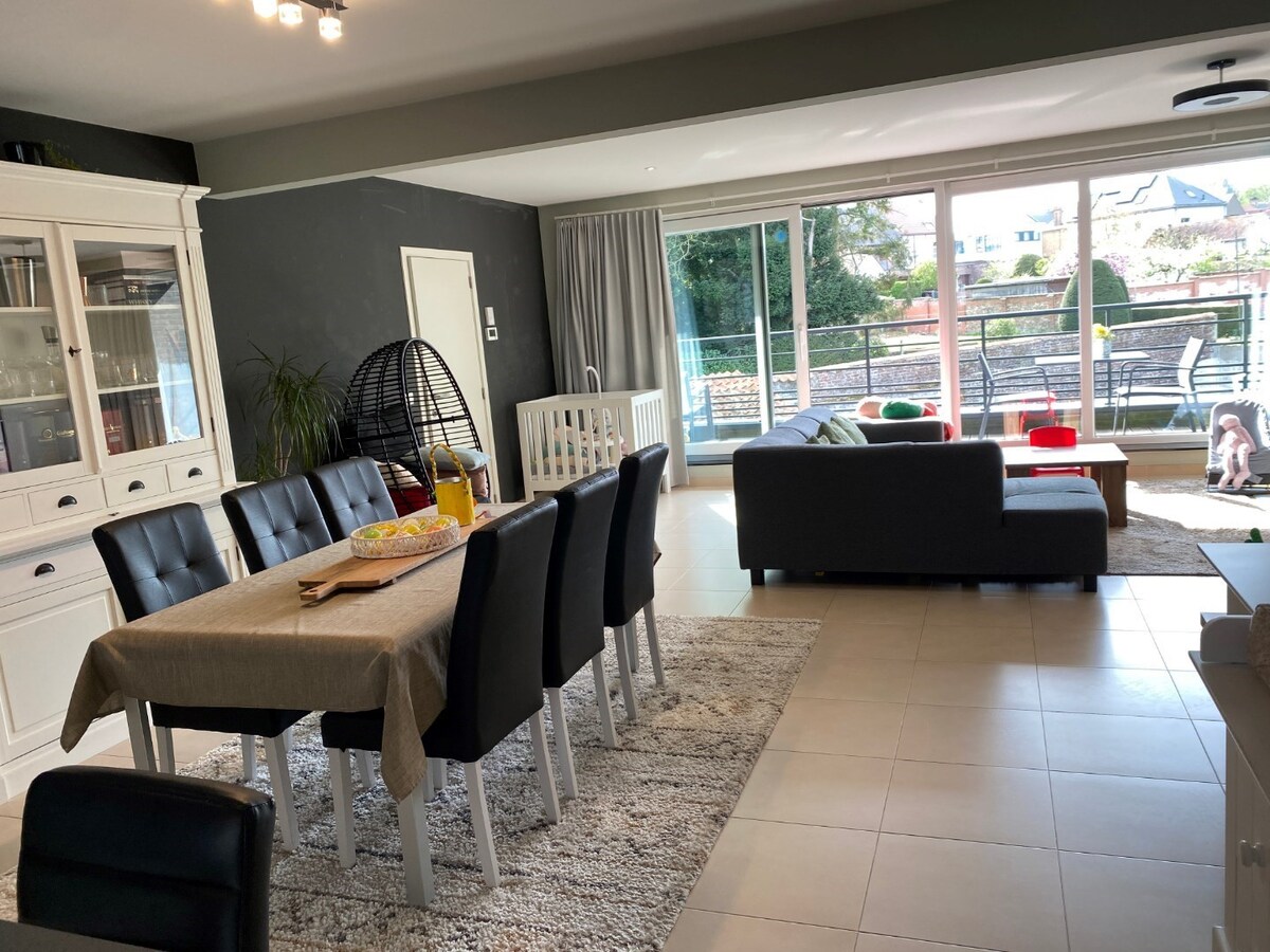 Ruim appartement met 2 terrassen. 