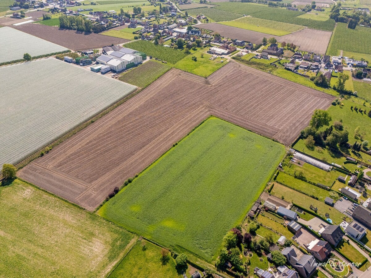 Karaktervolle vierkantshoeve op 1ha te Geetbets (optioneel aan te kopen ca. 7ha aanpalende landbouwgronden) 