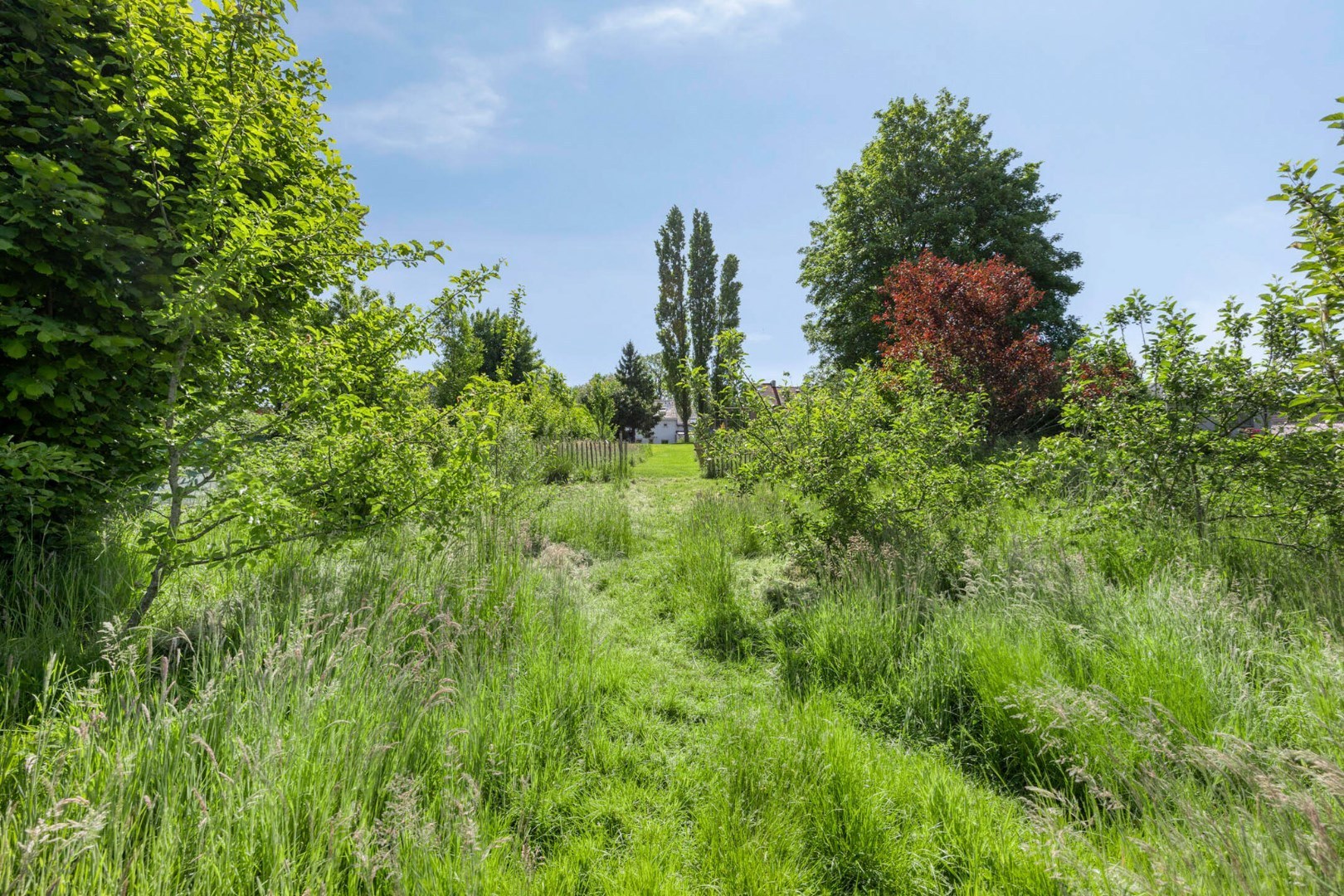 Gerenoveerde woning 3/4 kamers + garage 1652 ALSEMBERG (BEERSEL) 