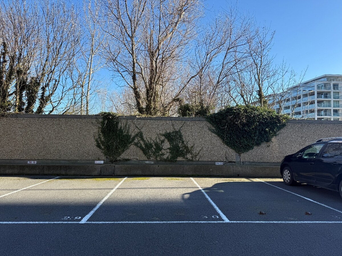 Te huur parkeerplaats - Oostende