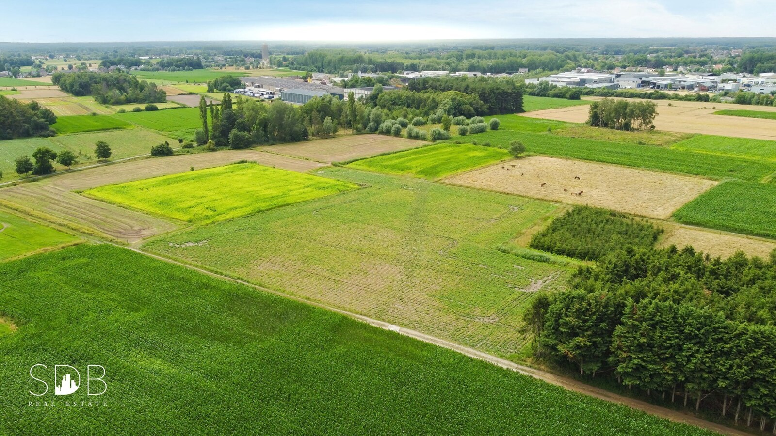 Hedendaagse woning inclusief paardenaccommodatie en graslanden op 4,22ha 